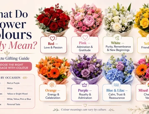 What Do Flower Colours Mean?
